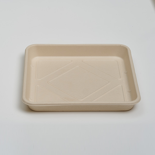 11.8 inch Food Tray