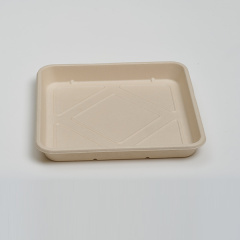 11.8 inch Food Tray