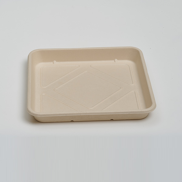 11.8 inch Food Tray