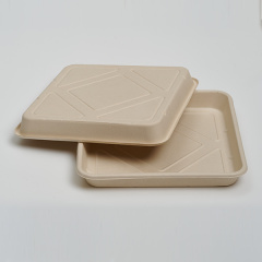 11.8 inch Food Tray