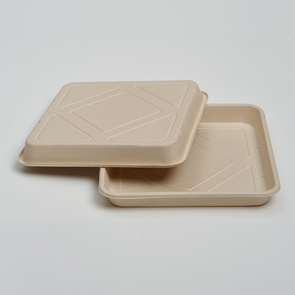 11.8 inch Food Tray