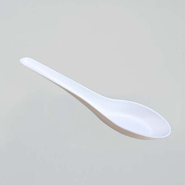 Chinese Spoon