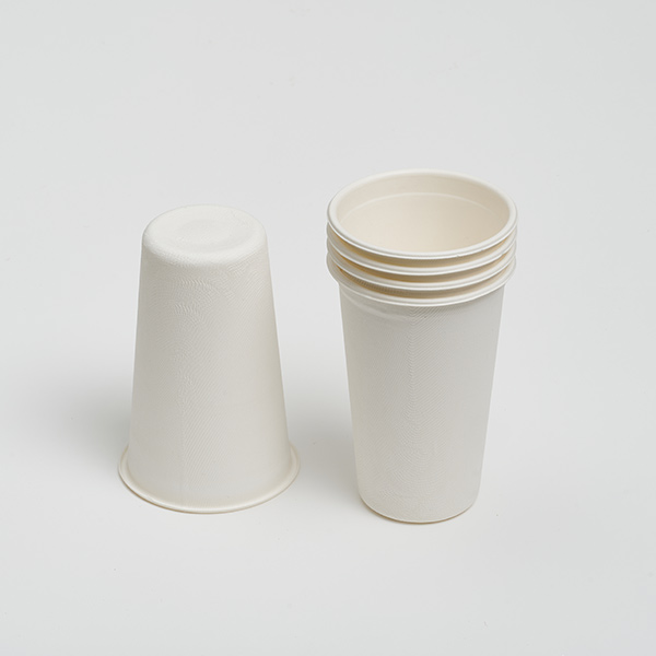 16OZ Cup