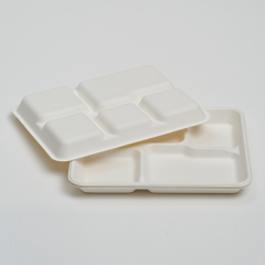 5 Compartment Tray