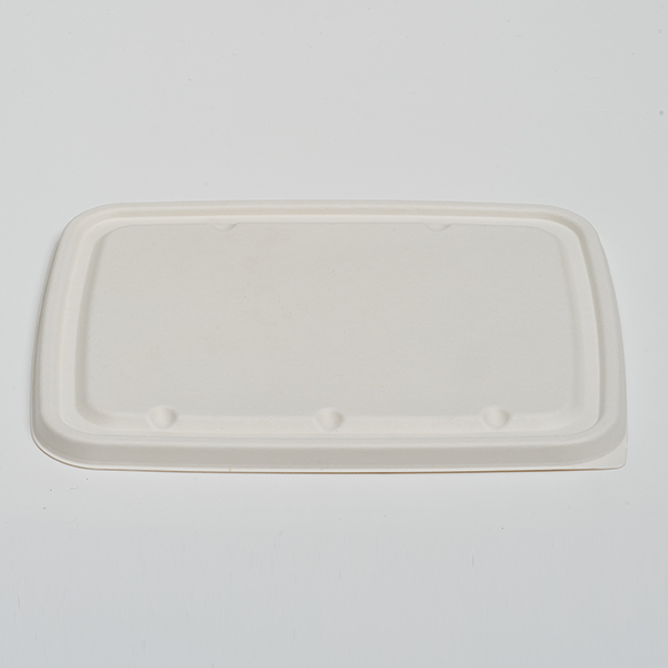 Pulp Lid for 6 Compartment Lunch Tray