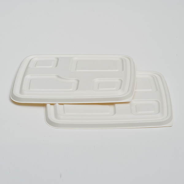 Pulp Lid for 4 Compartment Lunch Tray