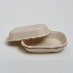 CT500ml Food Container