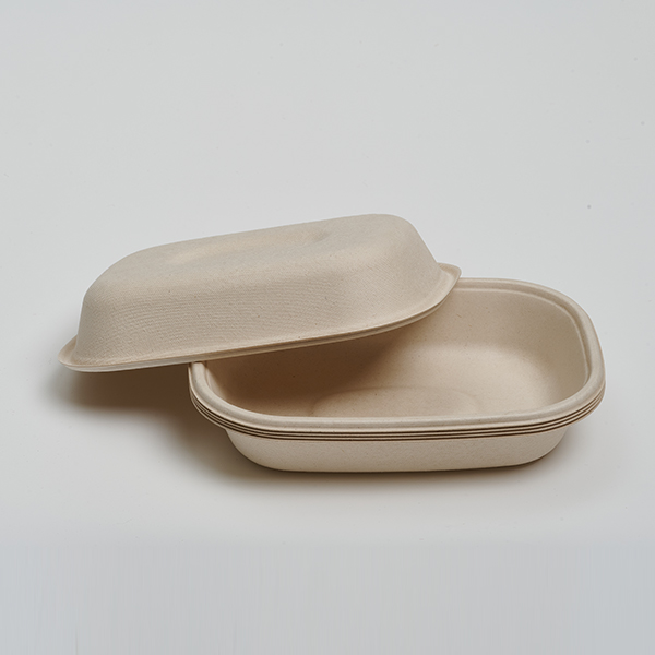 CT500ml Food Container