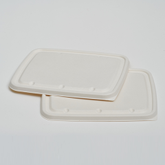 Pulp Lid for 6 Compartment Lunch Tray