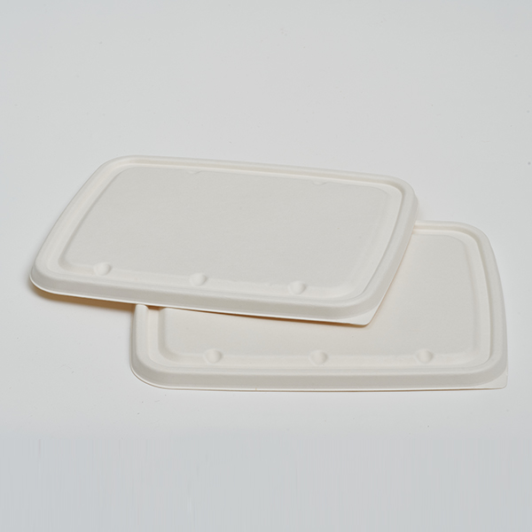 Pulp Lid for 6 Compartment Lunch Tray