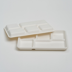 Shallow 5 Compartments Tray