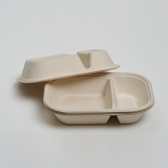 CT800ml 2-Com Food Container
