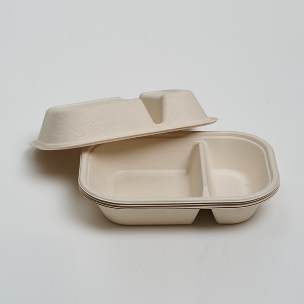 CT800ml 2-Com Food Container