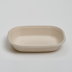 CT700ml Food Container