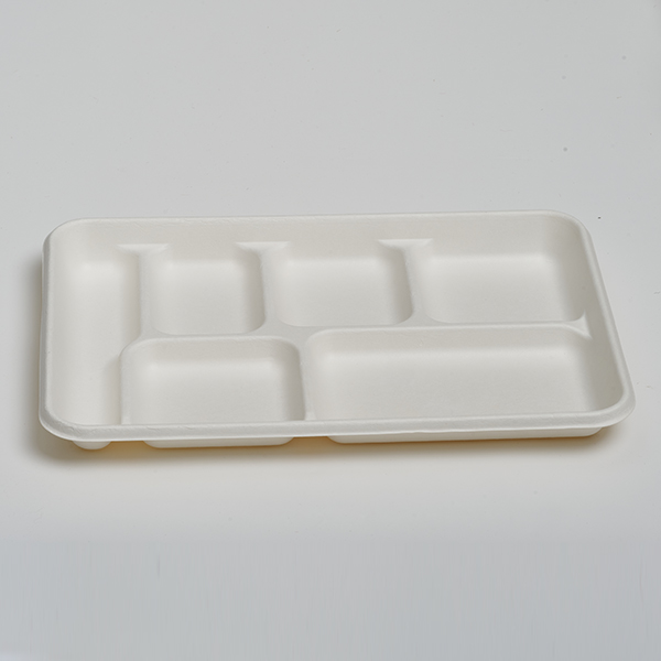 6 Compartment Tray