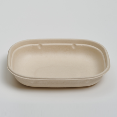 CT850ml Food container