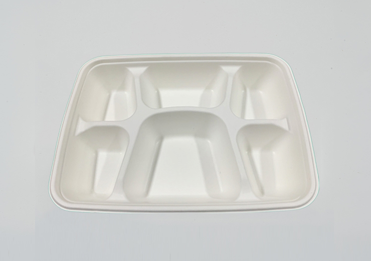 6 Compartment Lunch Tray