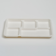 Shallow 5 Compartments Tray