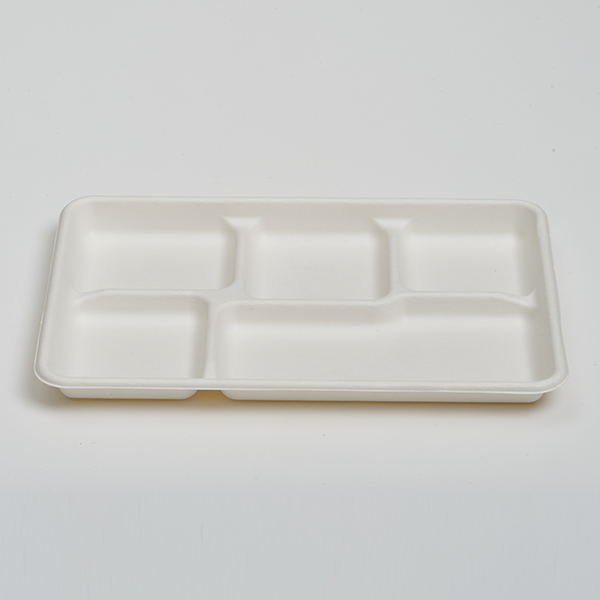 Shallow 5 Compartments Tray
