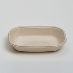 CT500ml Food Container