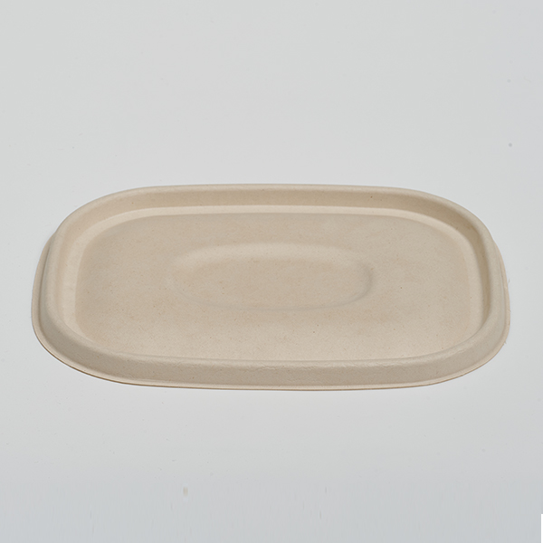 Pulp Lid for CT Food container