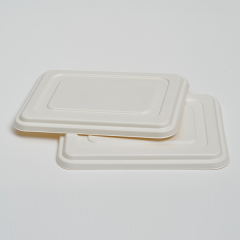 Pulp Lid for HN3-Com Tray