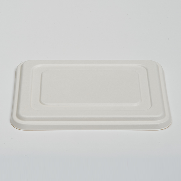 Pulp Lid for HN3-Com Tray