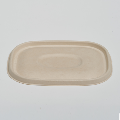 Pulp Lid for CT Food container