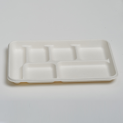 6 Compartment Tray
