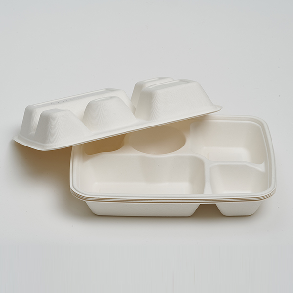 5 Compartment Lunch Tray