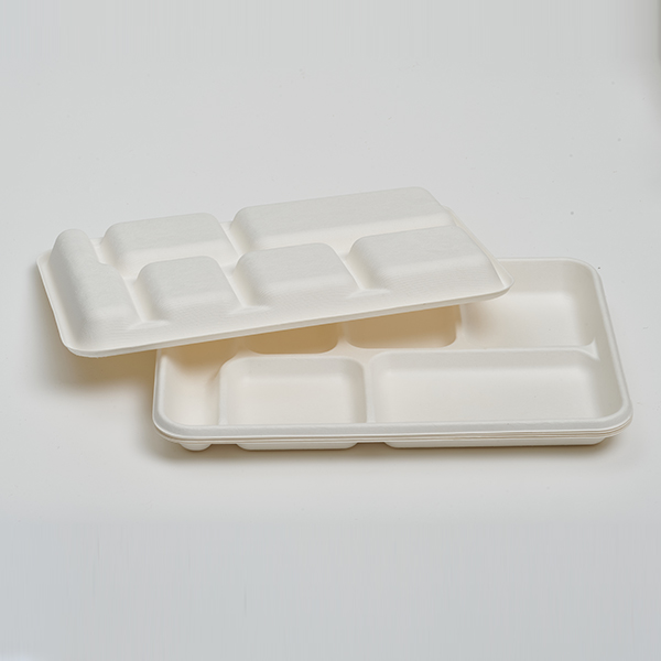 6 Compartment Tray