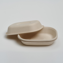 CT700ml Food Container