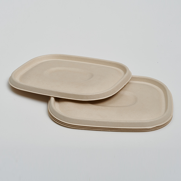 Pulp Lid for CT Food container