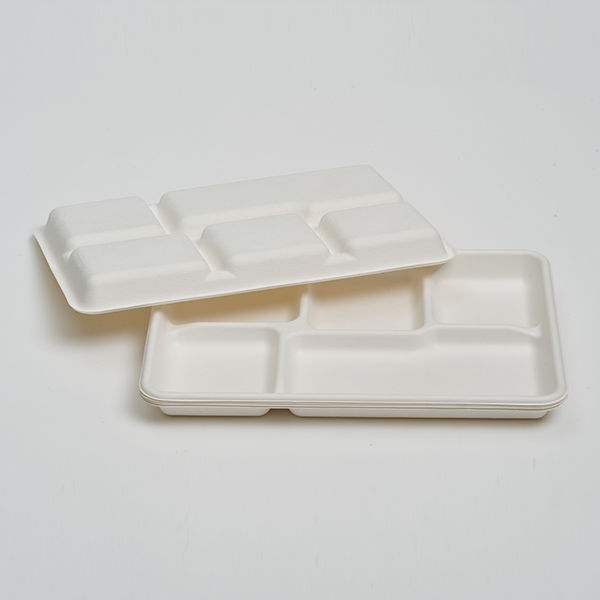 Shallow 5 Compartments Tray