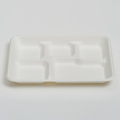 Shallow 5 Compartments Tray