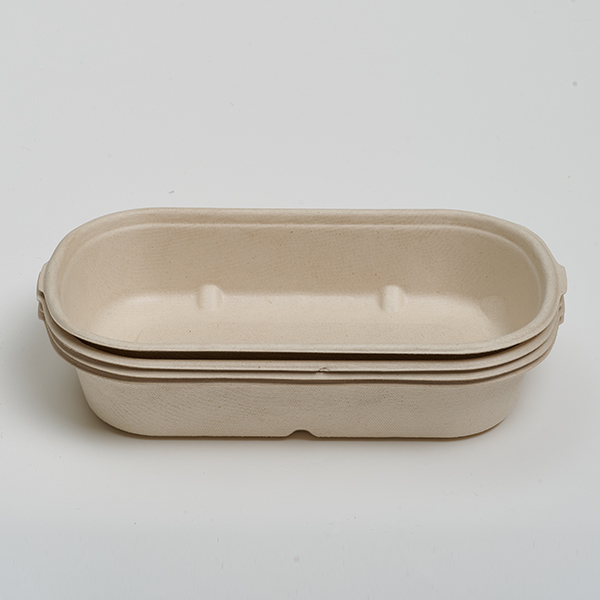 N500 food container