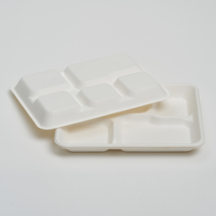 Shallow 5 Compartments Tray