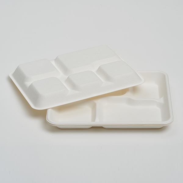 Shallow 5 Compartments Tray