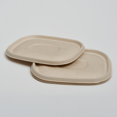 Pulp Lid for CT Food container