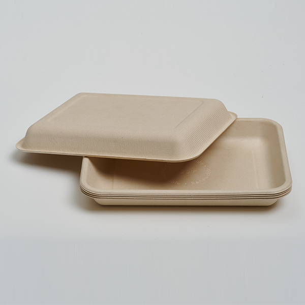 2D Tray