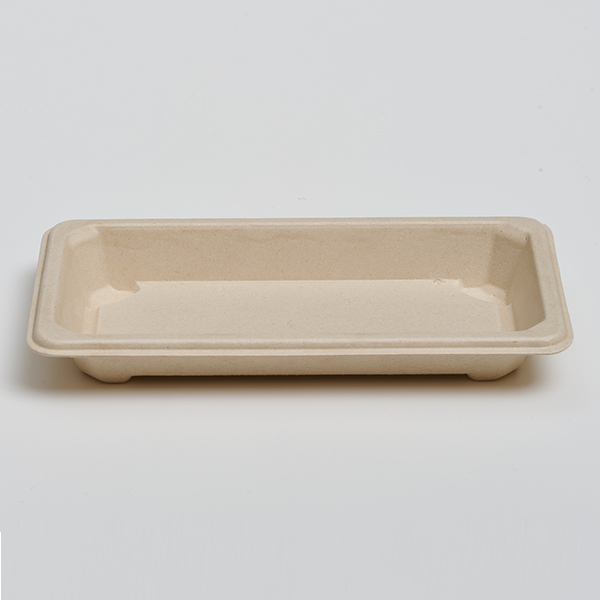 Sushi tray 04
