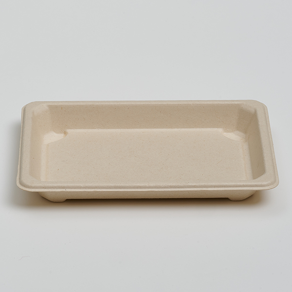 Sushi tray 08