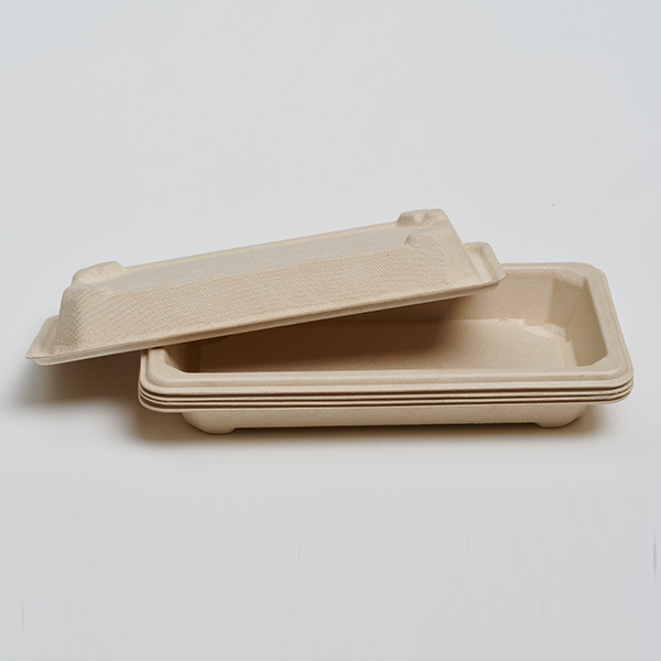 Sushi tray 15