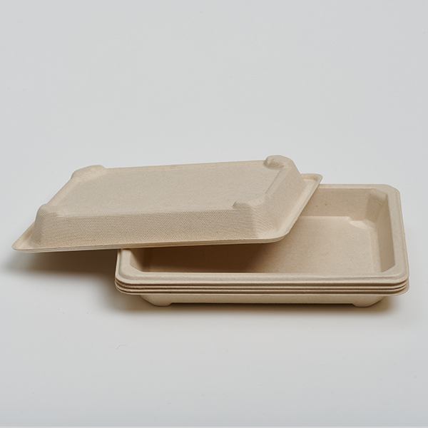 Sushi tray 08