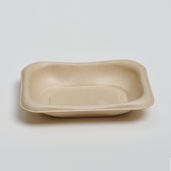 Disposable Bagasse Fiber Fruit and Vegetable Tray (Model: TR55, 5.5×4.5 Tray)