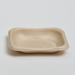 Disposable Bagasse Fiber Fruit and Vegetable Tray (Model: TR55, 5.5×4.5 Tray)