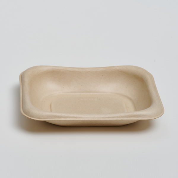 Disposable Bagasse Fiber Fruit and Vegetable Tray (Model: TR55, 5.5×4.5 Tray)
