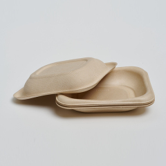Disposable Bagasse Fiber Fruit and Vegetable Tray (Model: TR55, 5.5×4.5 Tray)