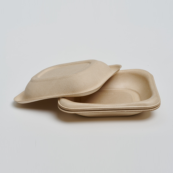 Disposable Bagasse Fiber Fruit and Vegetable Tray (Model: TR55, 5.5×4.5 Tray)