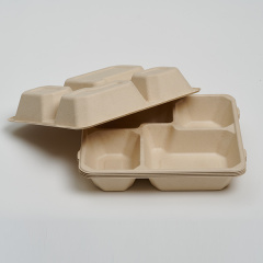 Pulp Lid of 4-Com Food Tray